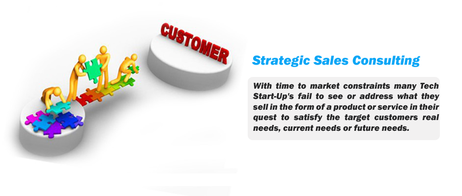 IT Strategic Sales Consulting